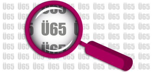 Seniorenpolitische Fachtagung 2025